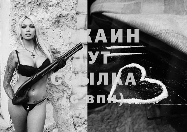 гашик Наволоки