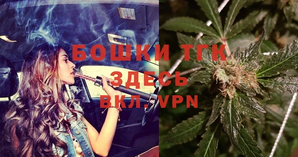 гидра Арсеньев