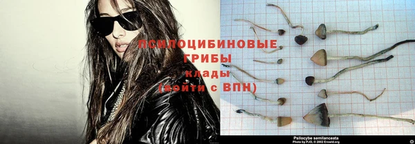 гидра Арсеньев