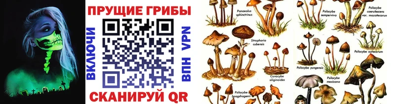 Галлюциногенные грибы Magic Shrooms магазин Теберда
