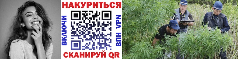 Марихуана индика  ОМГ ОМГ как войти  Теберда  цены  